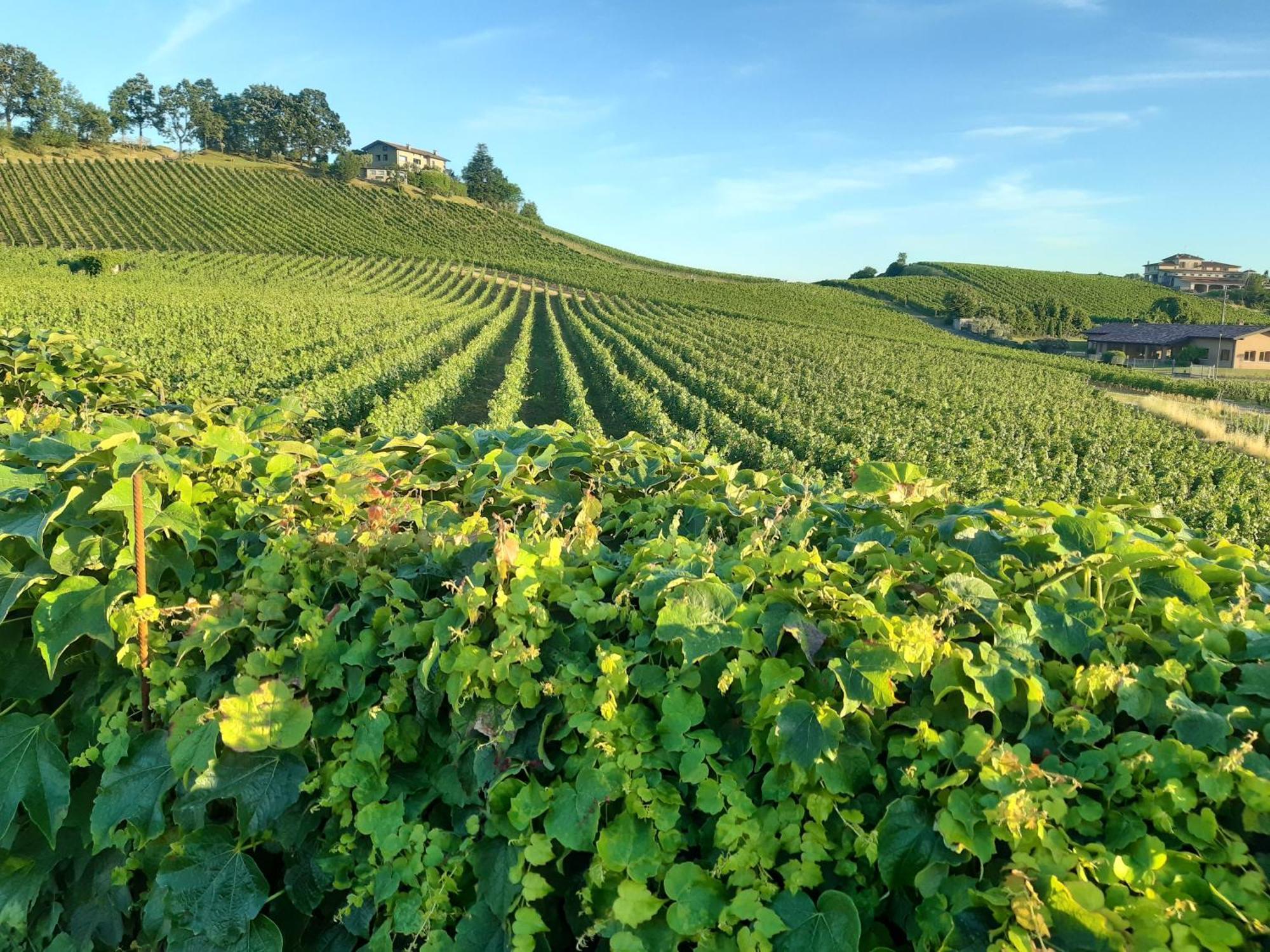 Appartamento Franciacorta Cazzago San Martino 外观 照片